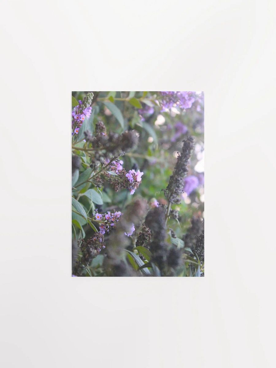 A Study in Flowers 6 product image (8)