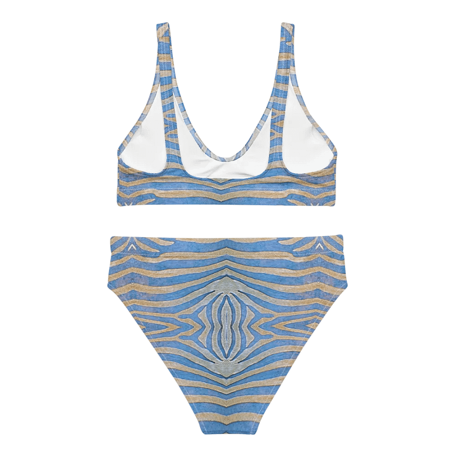 Zebra stripes in dove blue Bikini product image (2)