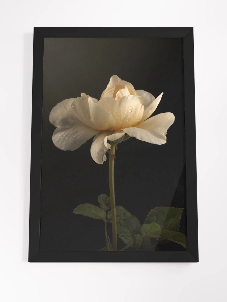 Dew Dusted product image (3)