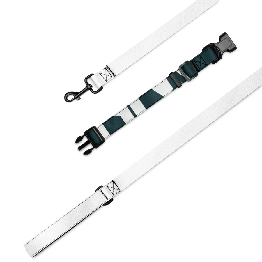 Knights and Nomads Creative leash and collar product image (1)