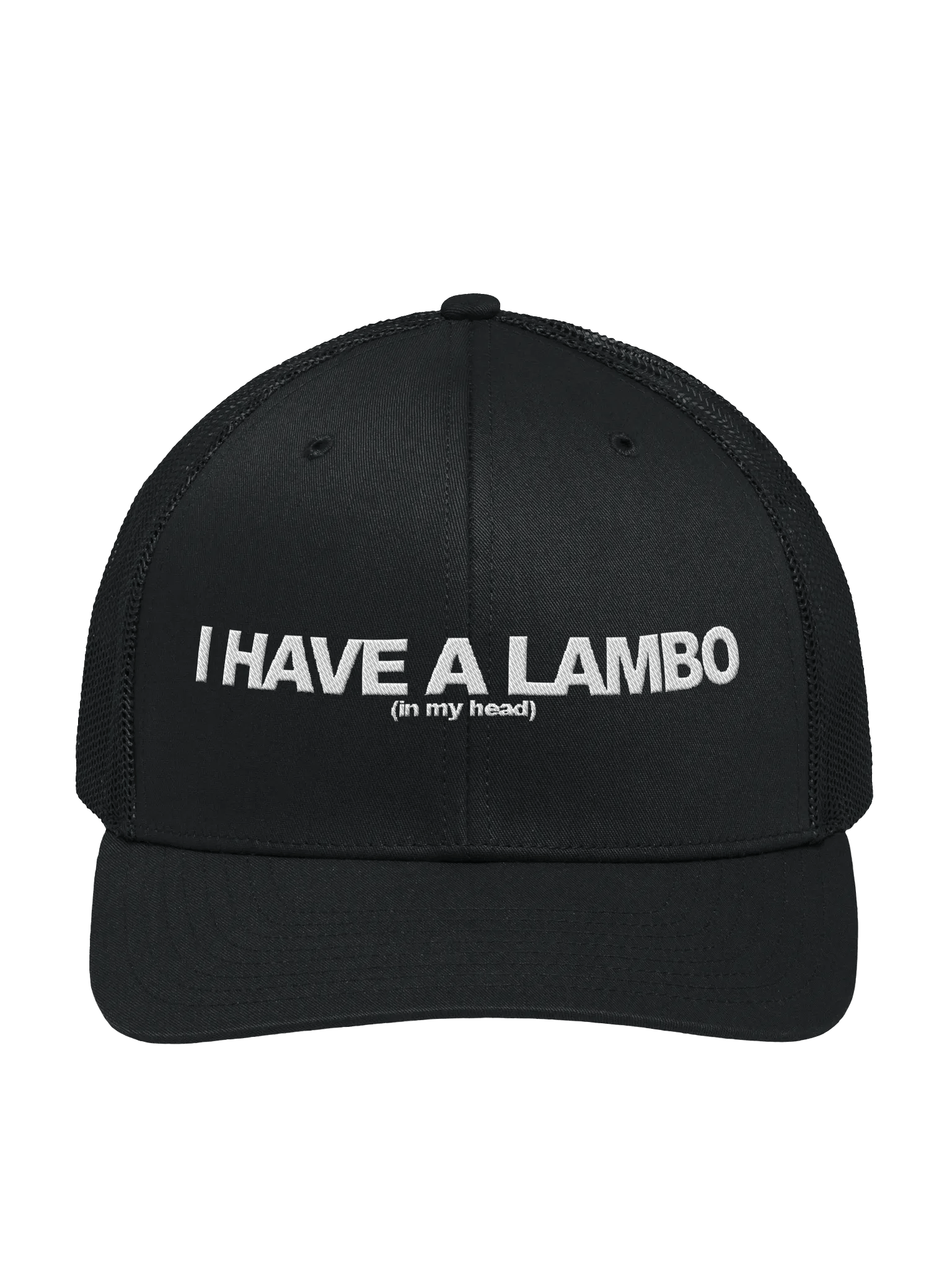 Lambo in my head dad hat product image (1)