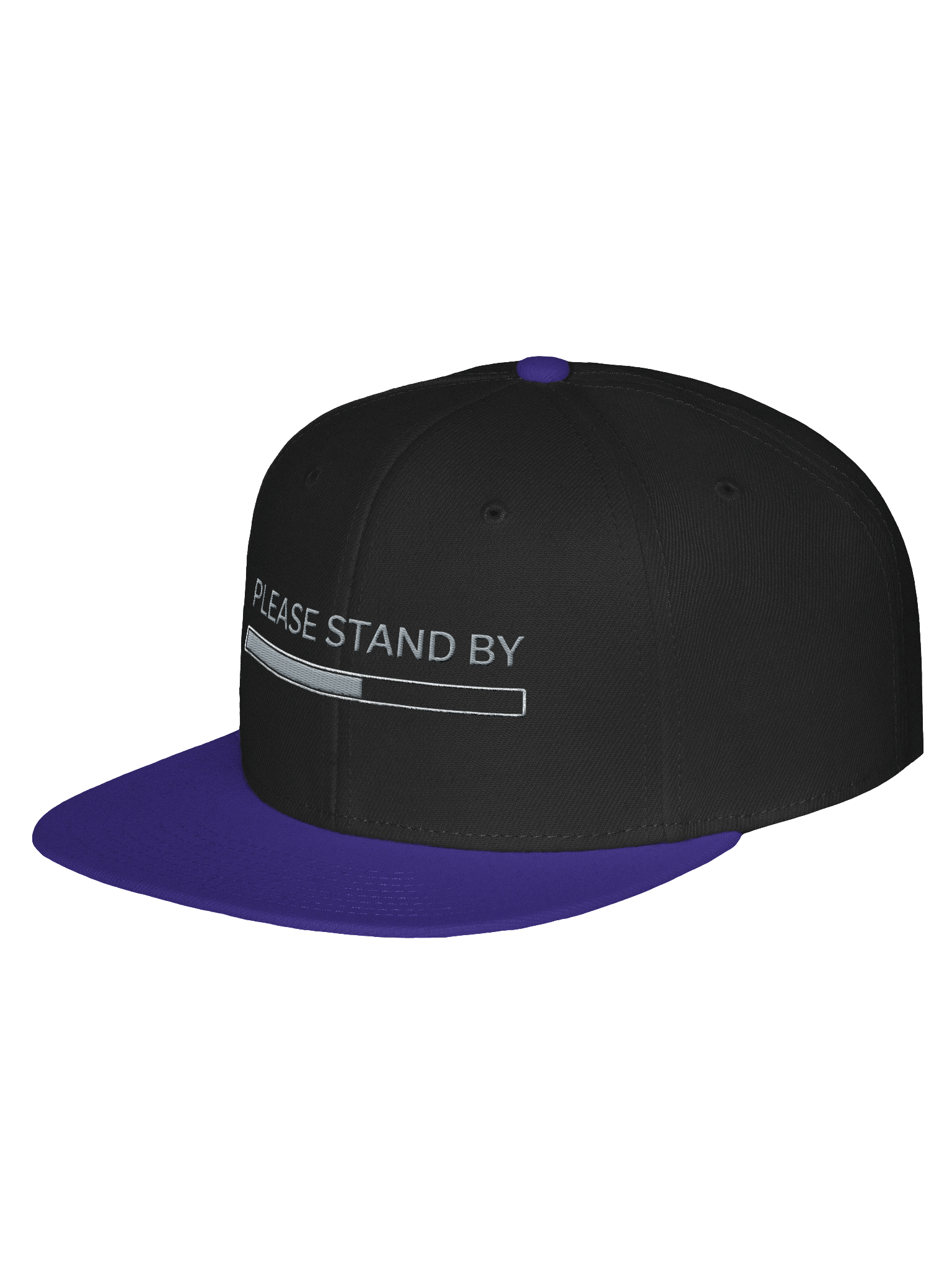 Please Stand By Snapback | Neurodivergent Rest Hat product image (70)