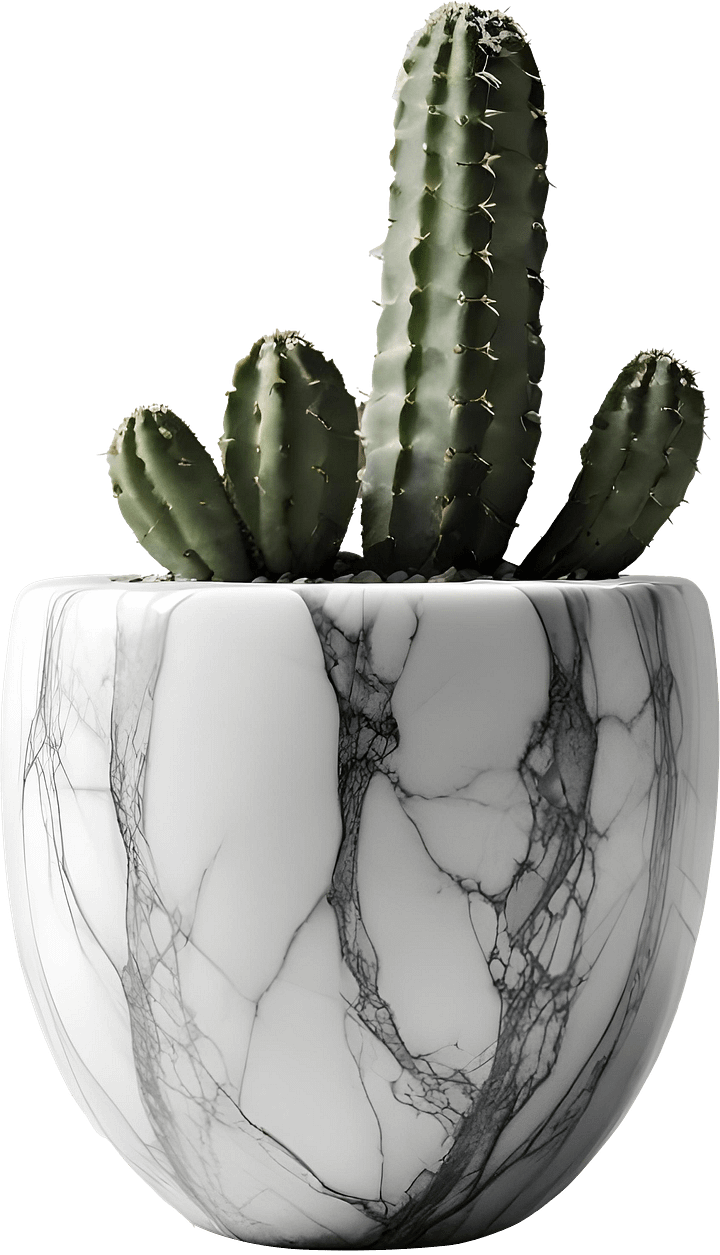Marble Eternal – Cactus Marble Pot PNG product image (1)