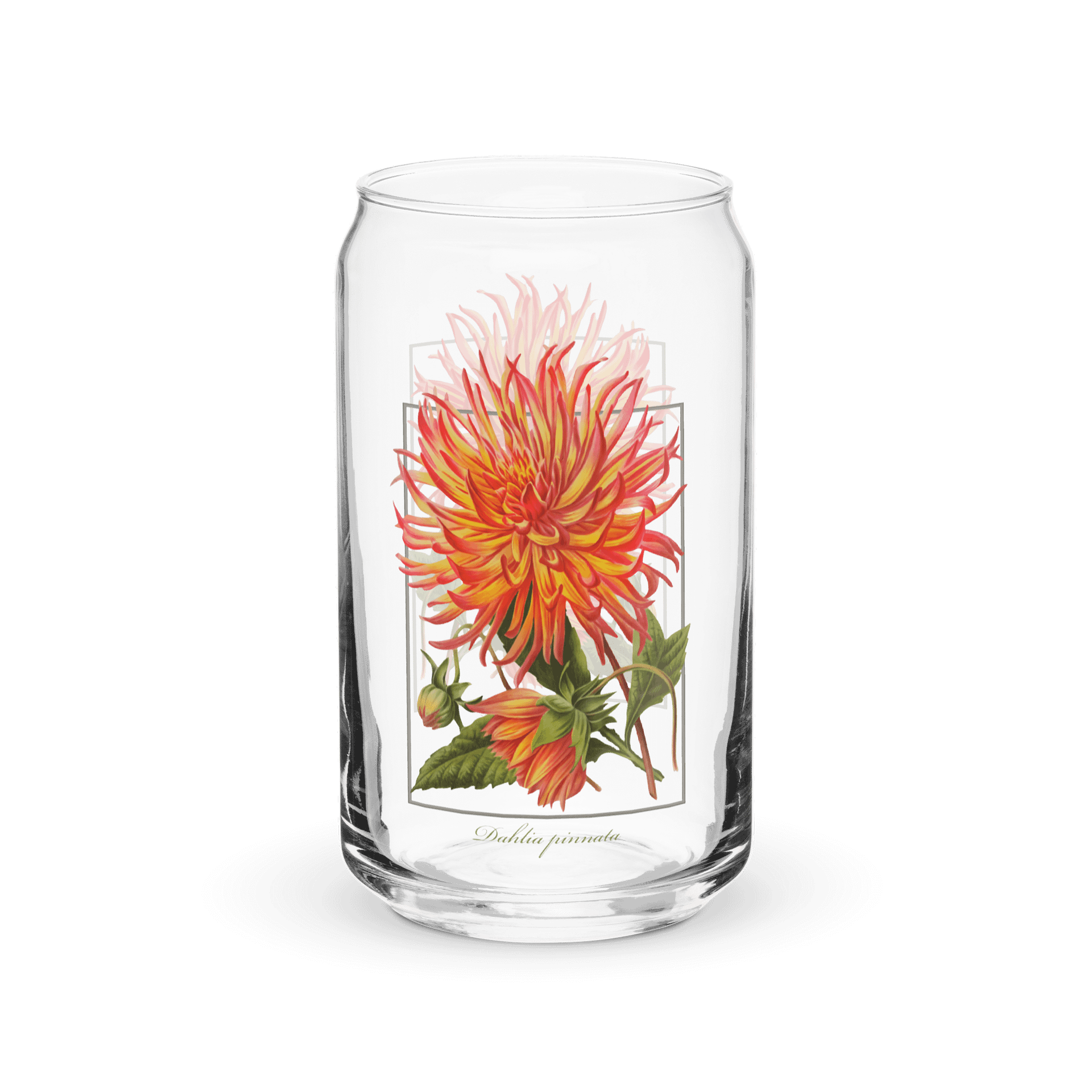 Cactus Dahlia Glass product image (1)