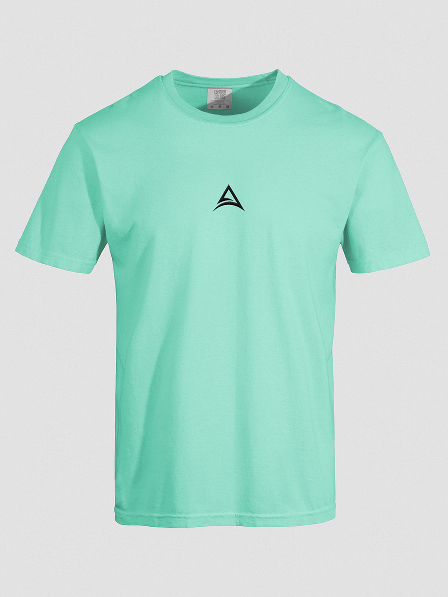 ASCENDANCY T-Shirt // Logo Black product image (19)