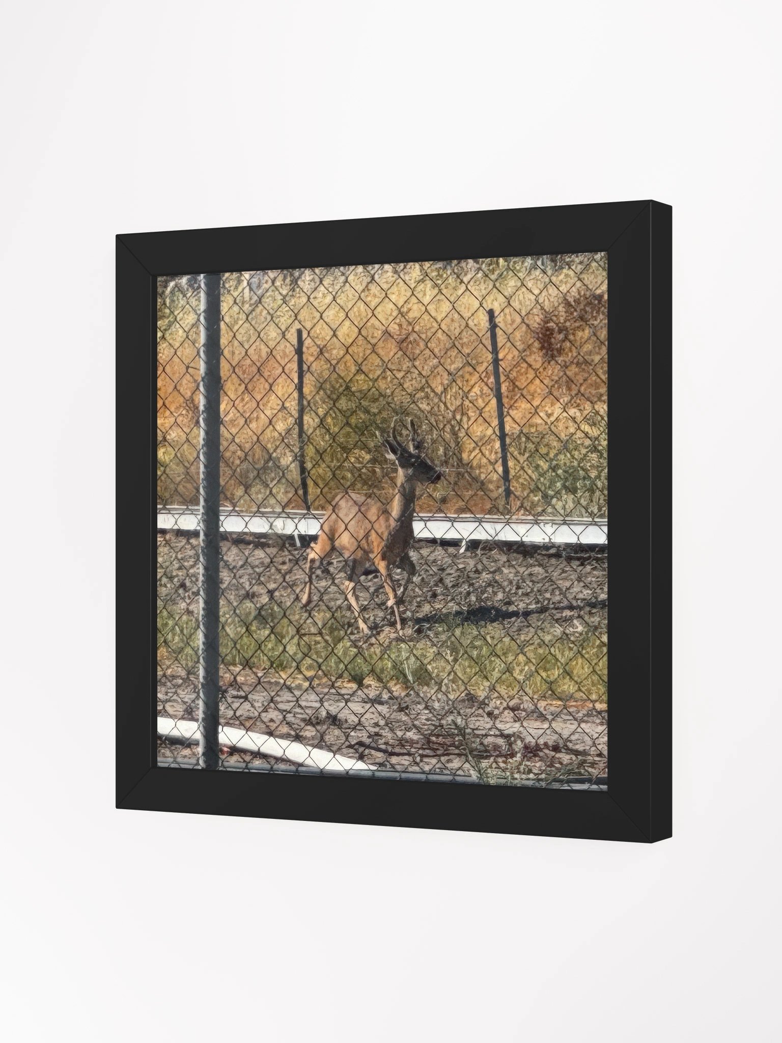 Deer product image (11)