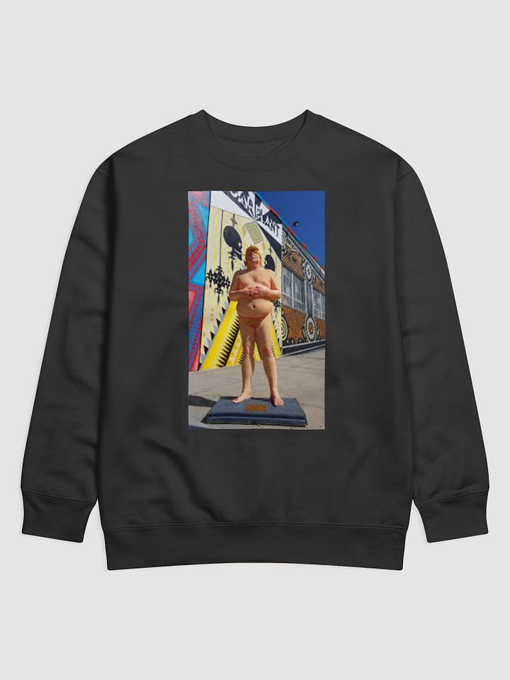 DONALD TRUMP MAKE AMERICA GREAT AGAIN product image (1)