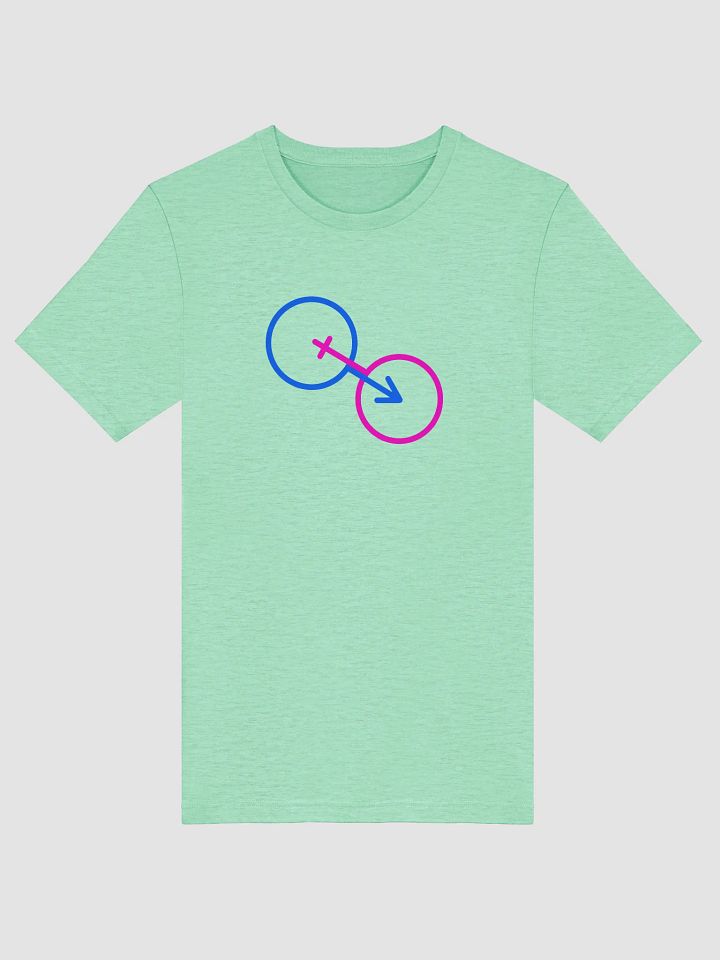 Traditional Gender Unity Connection T-Shirt product image (1)