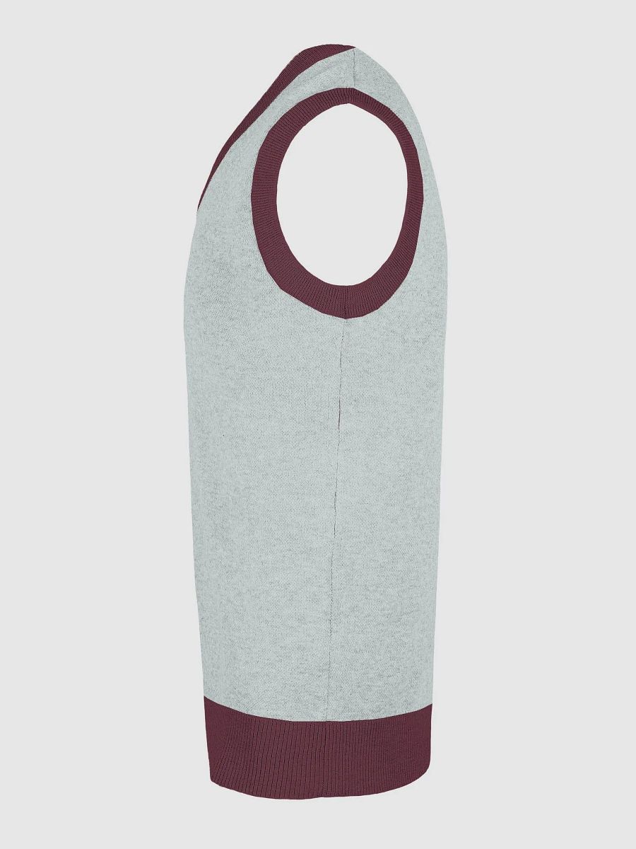 Dynamic Silhouette Knit V-Neck Vest product image (6)