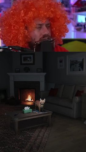 🐈 Cat? or disco ball? you decide 😂 | #amish_ace on #Twitch

#horror #thefloorabove