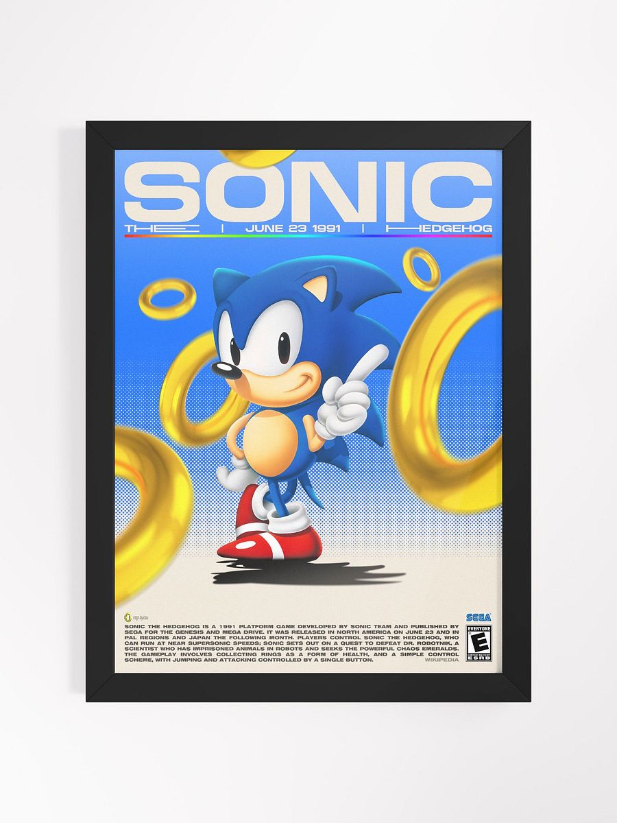 SONIC THE HEDGEHOG FRAME product image (1)