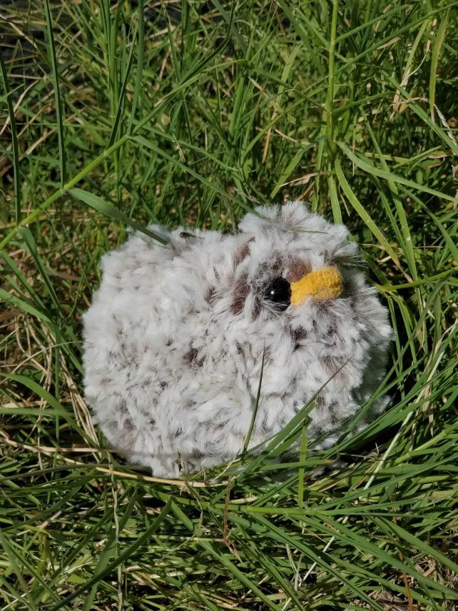 Fluffy Chicken product image (2)