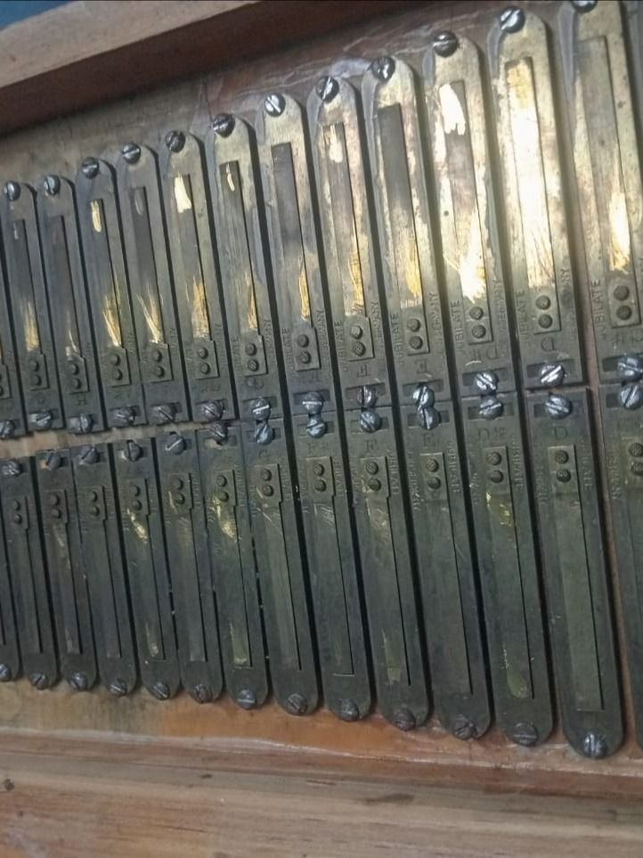 German jublete harmonium reeds