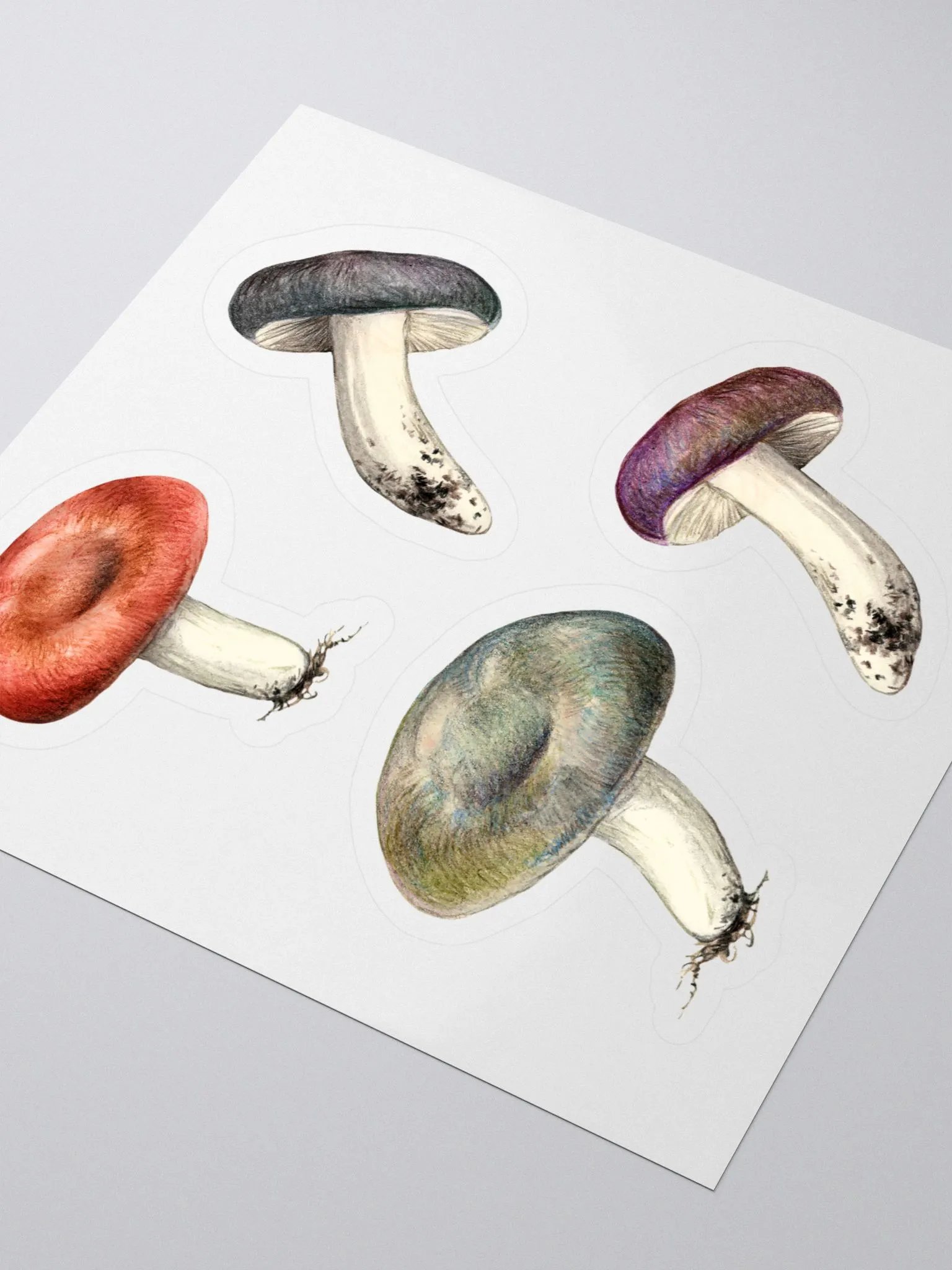 Russula mushrooms sticker product image (1)