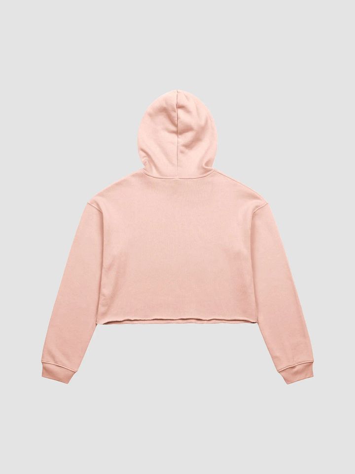 A-Set crop hoodie product image (3)