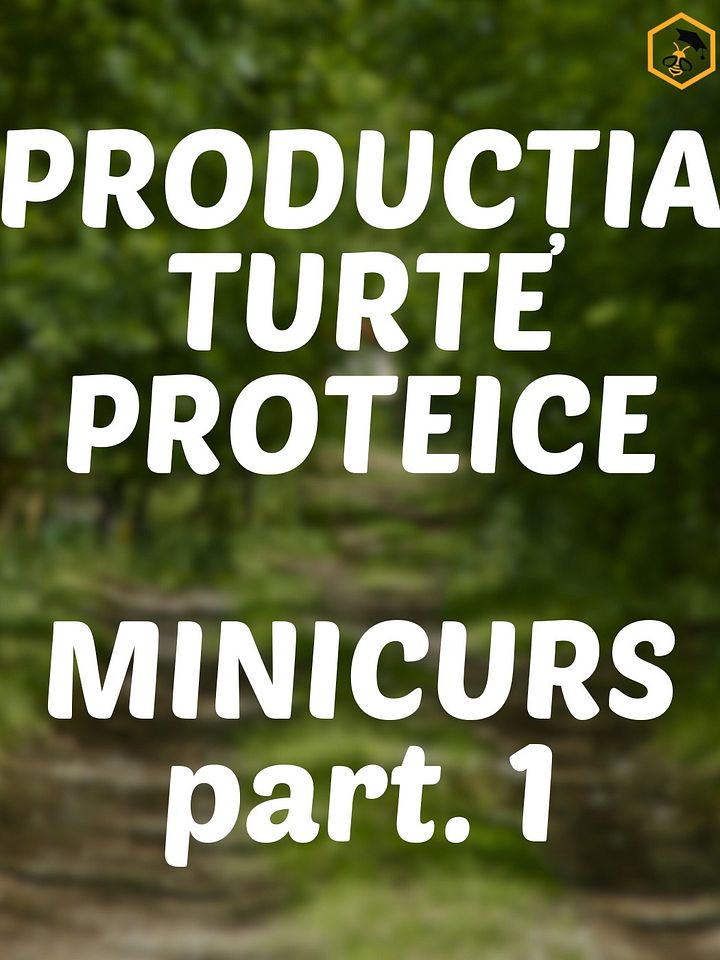 Part. 1 - Secretele Turtelor Proteice product image (1)