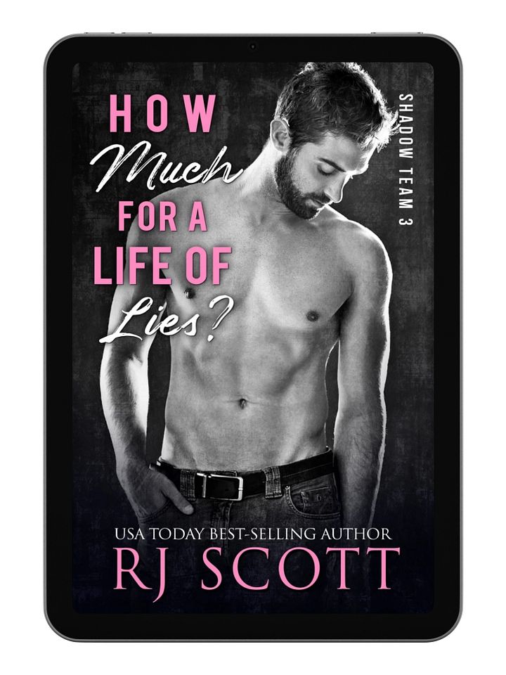 How Much For a Life of Lies? (Shadow Team, 3) - eBook product image (2)