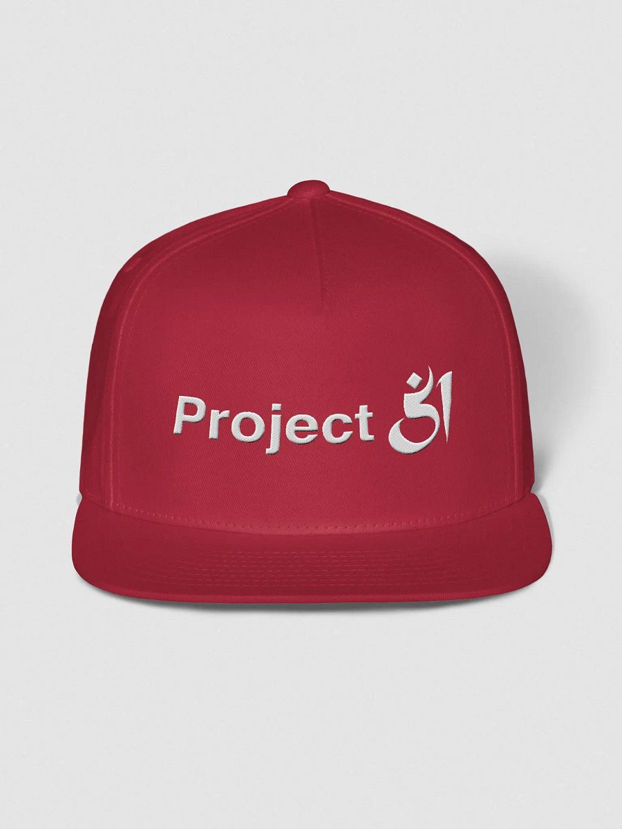 Project 51 snapback product image (1)