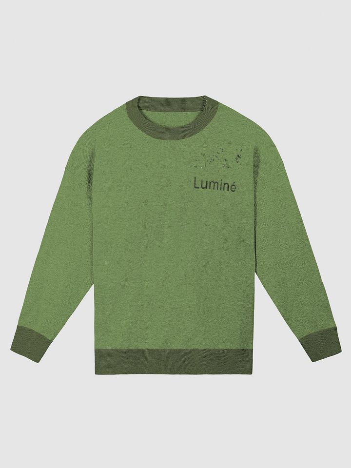 Luminé Knitted Crewneck Sweater (Women) product image (1)