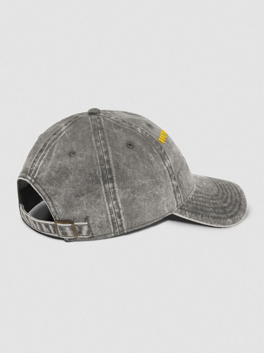 Suzuki Alto Works - Cap product image (7)