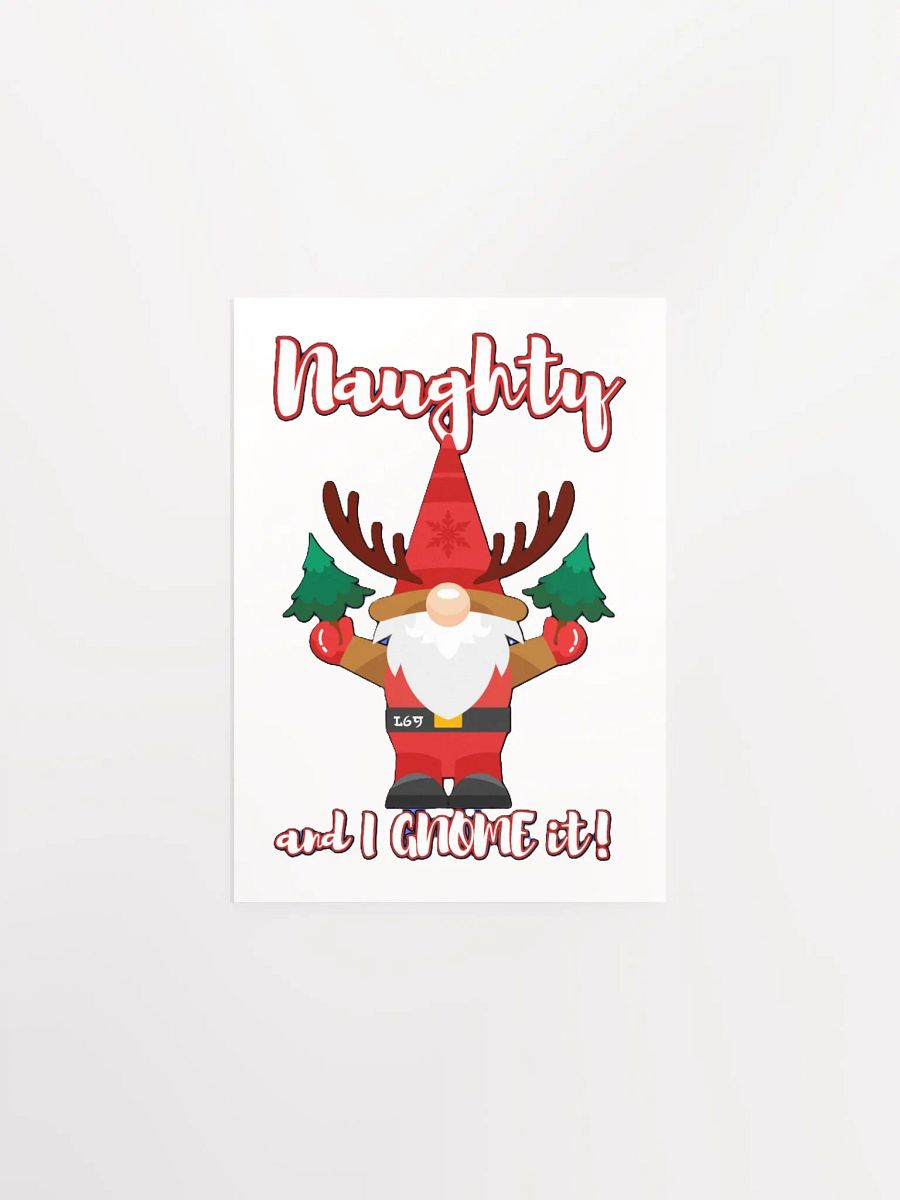 NAUGHTY AND I GNOME IT product image (15)