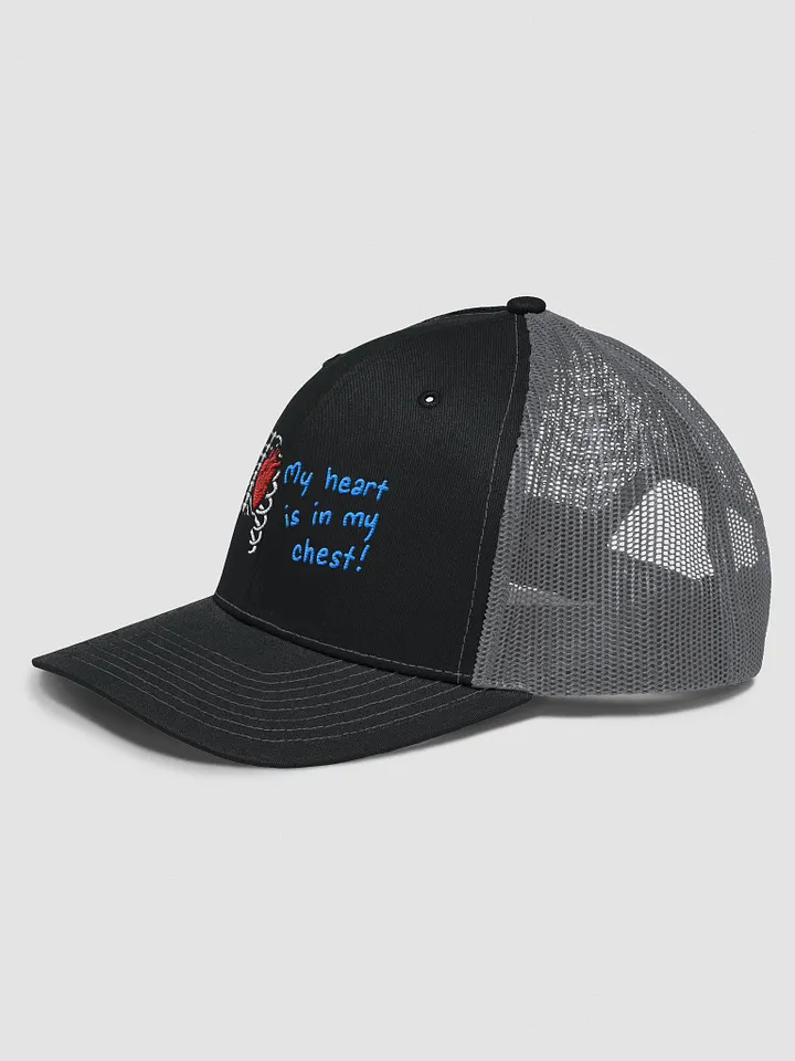 Hat - My Heart Is In My Chest product image (2)