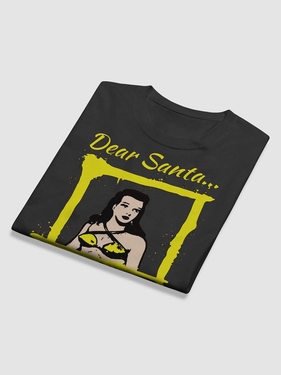 DEAR SANTA, I WAS FRAMED! product image (11)