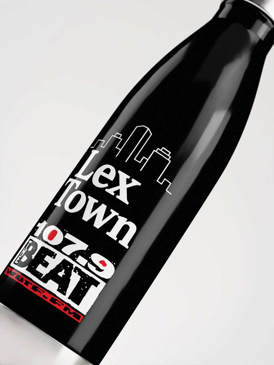 Lex Town Stainless Steel Water Bottle product image (5)