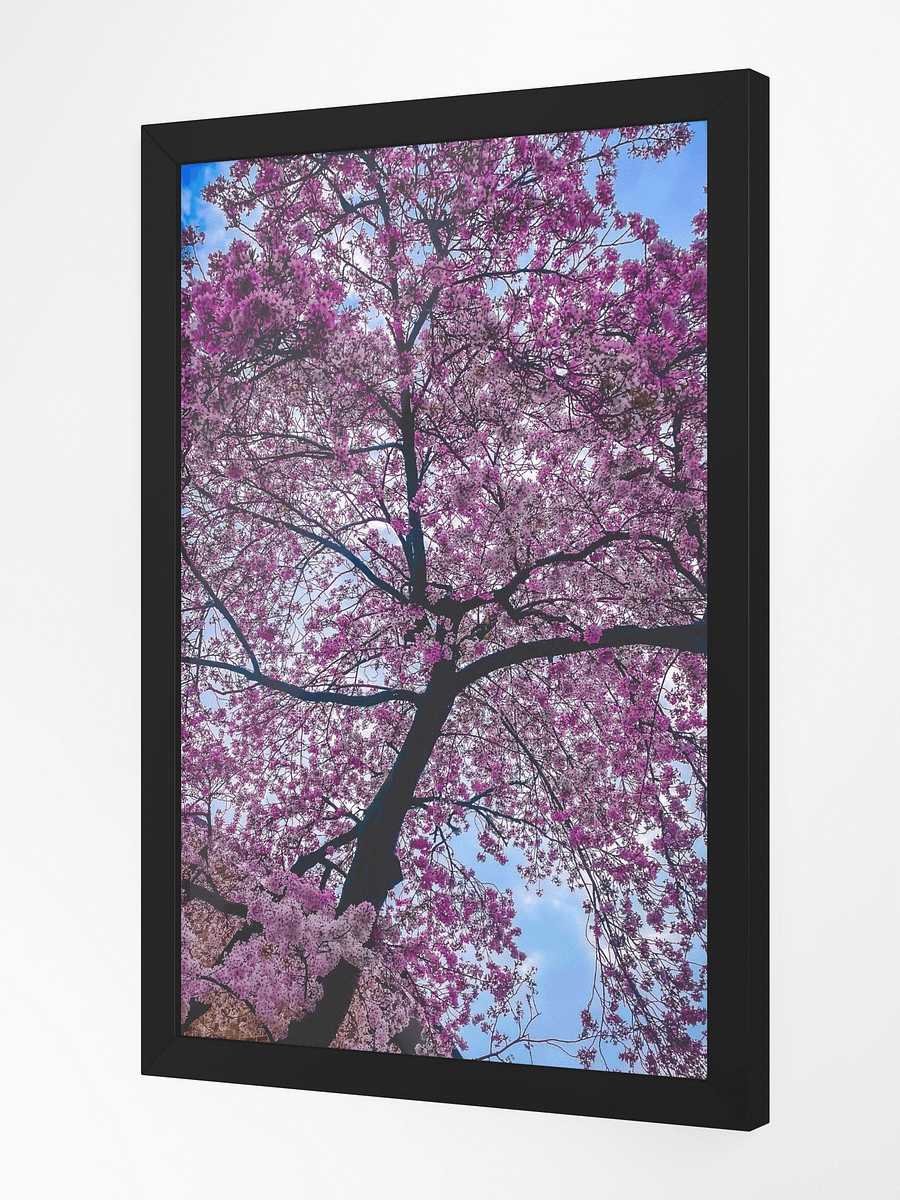 Blush In Bloom (FRAMED) product image (2)
