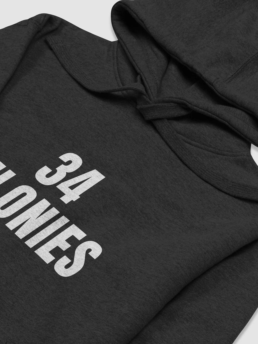 Pris-34 FELONIES-PRIS-NO ONE IS ILLEGAL COTTON HERITAGE UNISEX PREMIUM HOODIE product image (29)