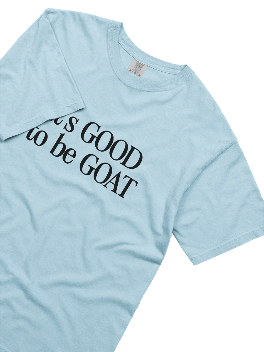 Garage Goats product image (3)