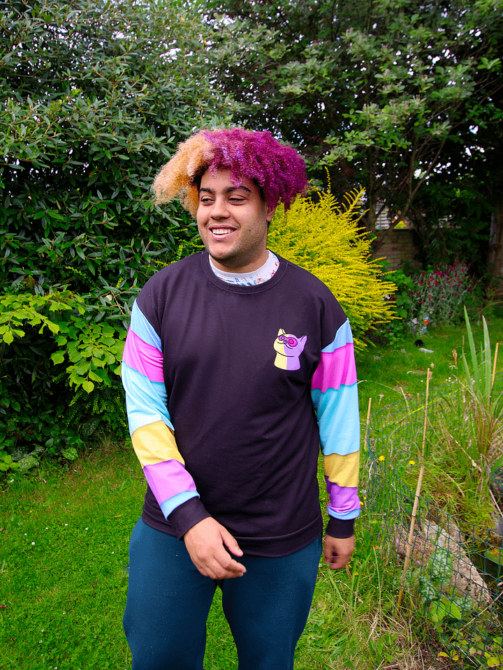 Bars Sweater product image (1)