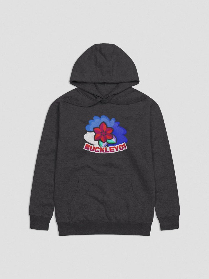 Sonic Squad Hoodie! product image (1)