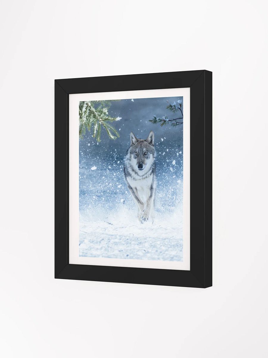 WOLF ON THE HUNT product image (62)