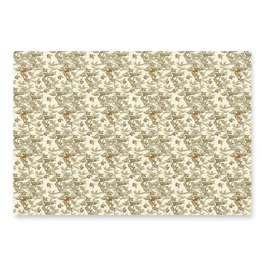 NZ birds wrapping paper, three sheets! product image (3)