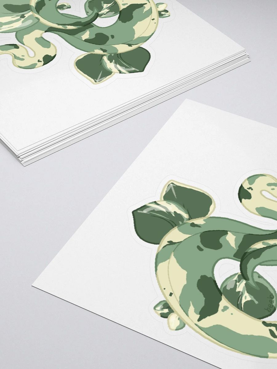 NEW Variegated Peperomia Houseplant Snake product image (4)