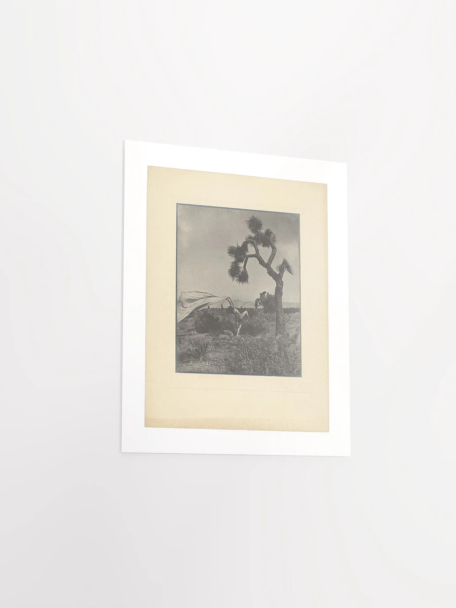 The Desert Wind By Louis Fleckenstein (1930) - Print product image (12)