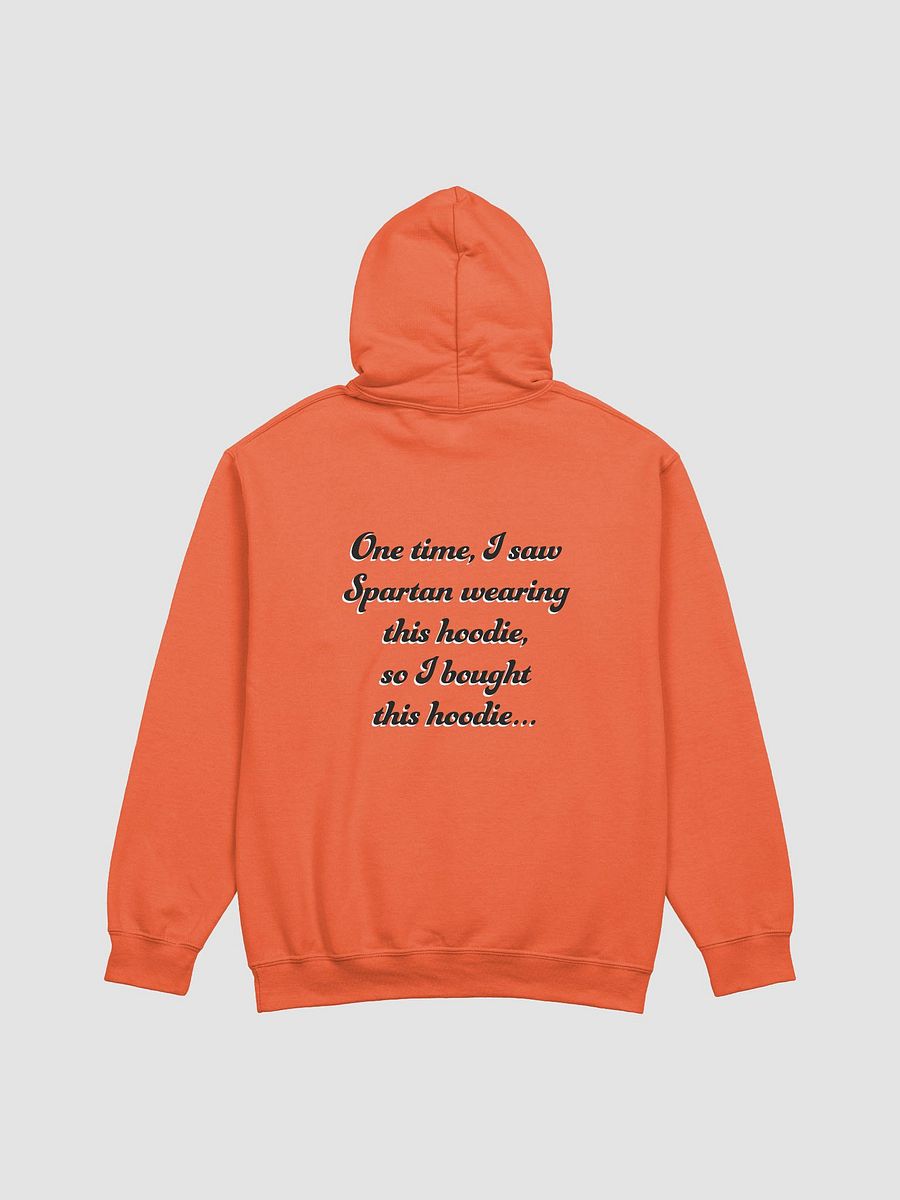 Article 13 - Example (Light) Hoodie product image (3)