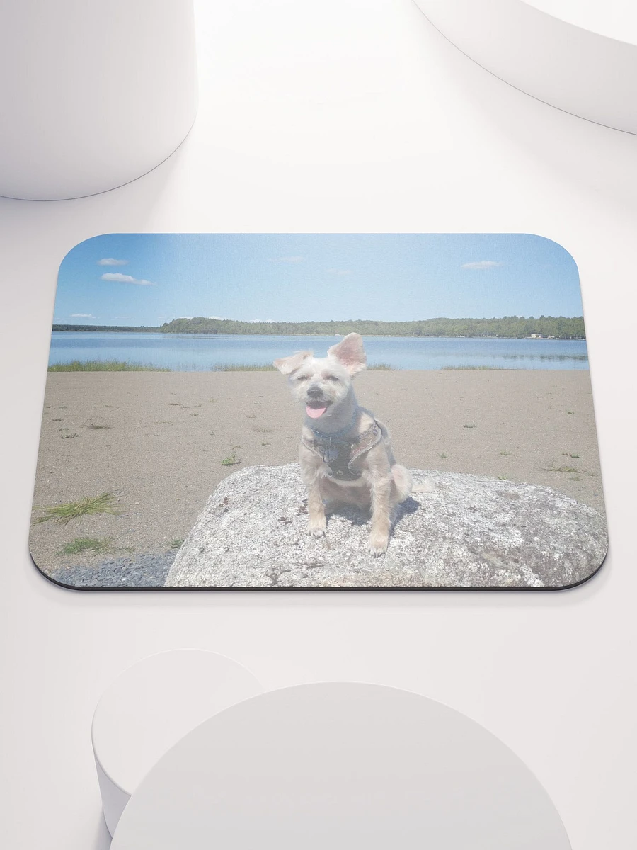 Mozzie At The Lake Mouse Pad product image (4)