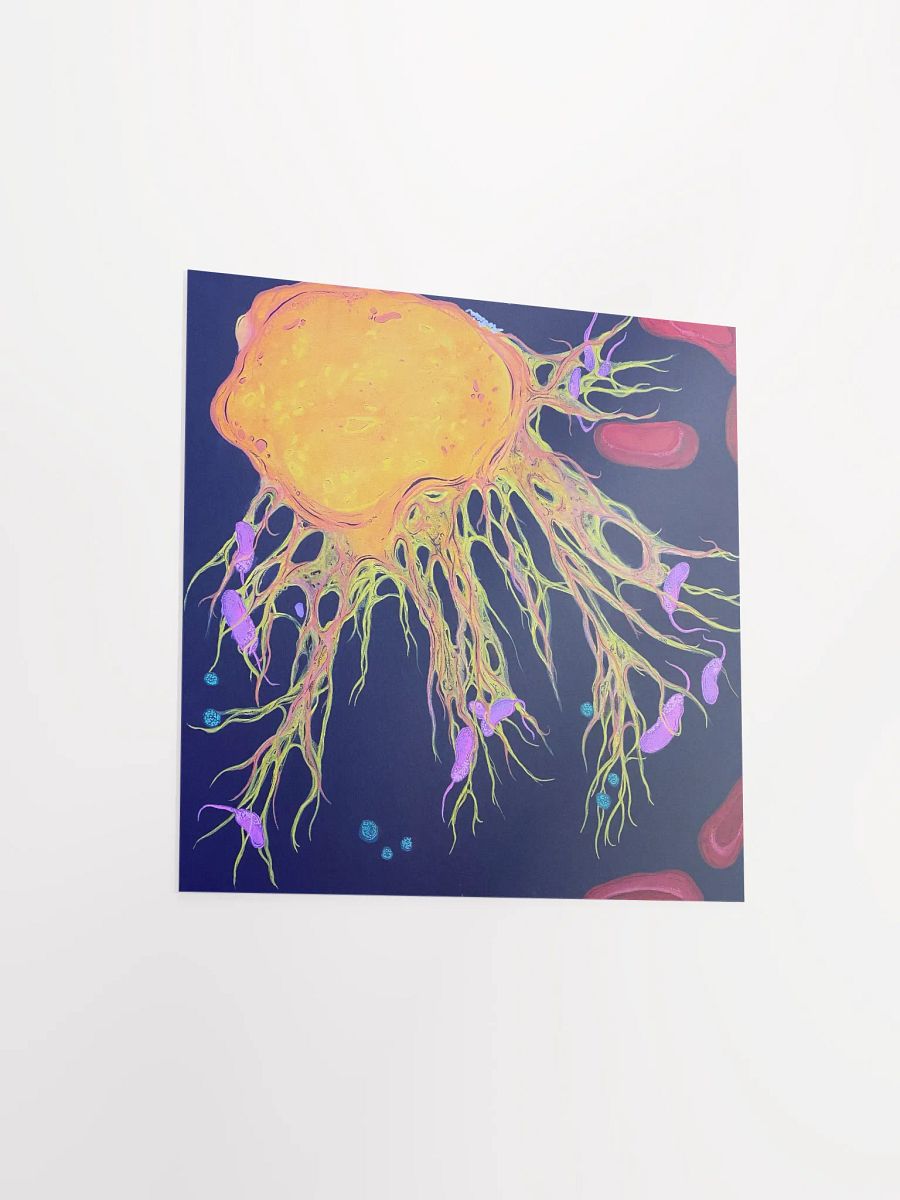 Neutrophil (Original Artwork) Print product image (3)