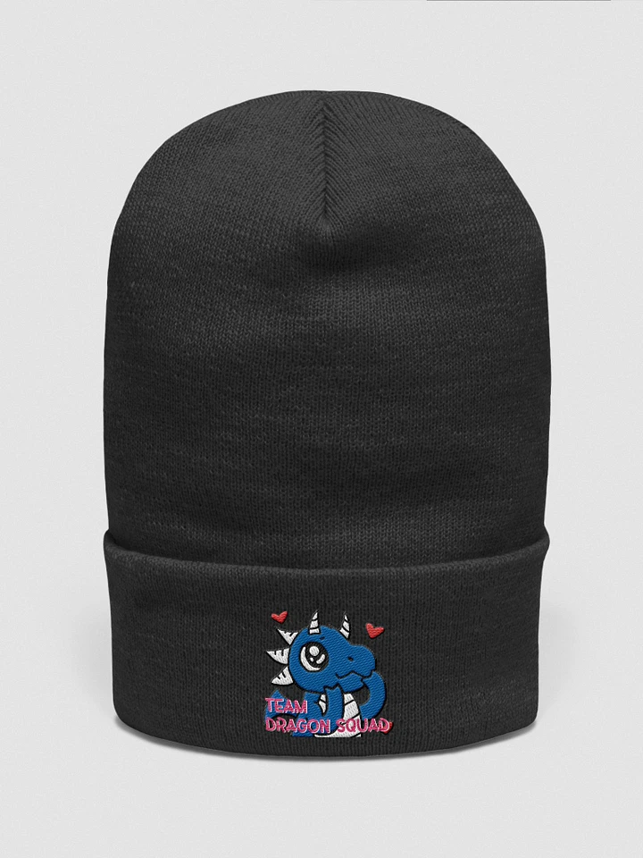 TEAM DS BEANIE product image (6)