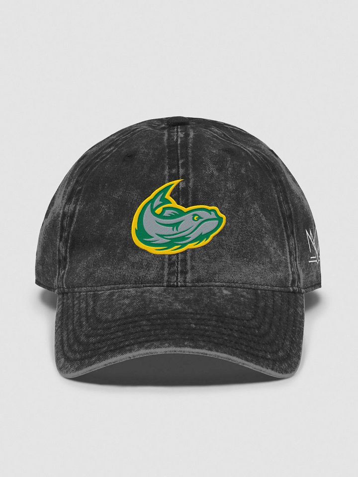 Mississippi Mudcats Wash Dad's Hat product image (2)