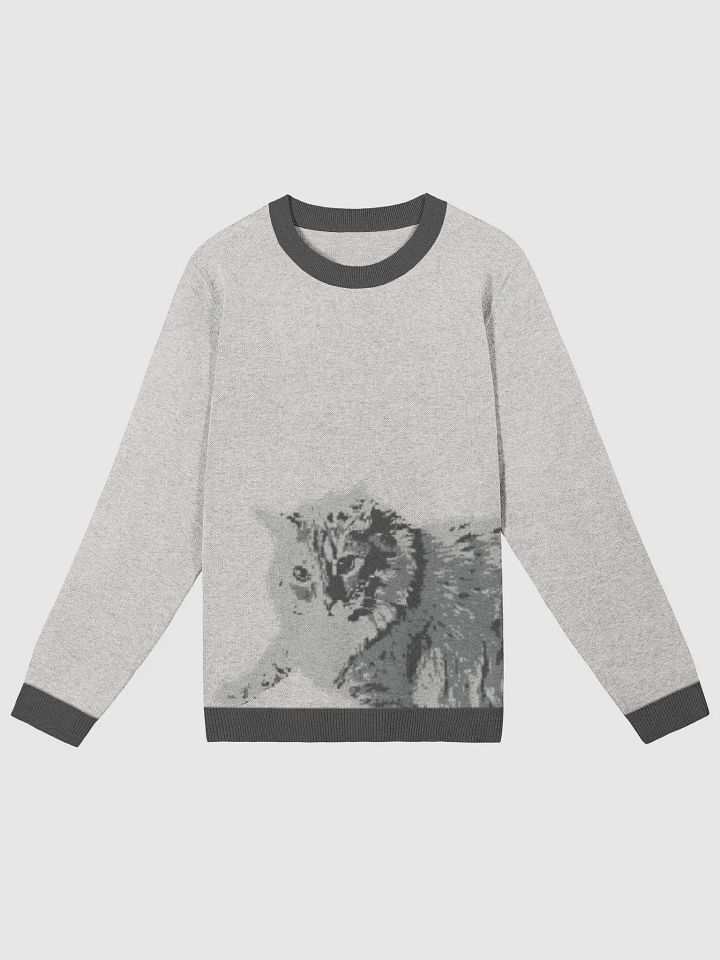 Meonochromeowtic Sweater product image (5)