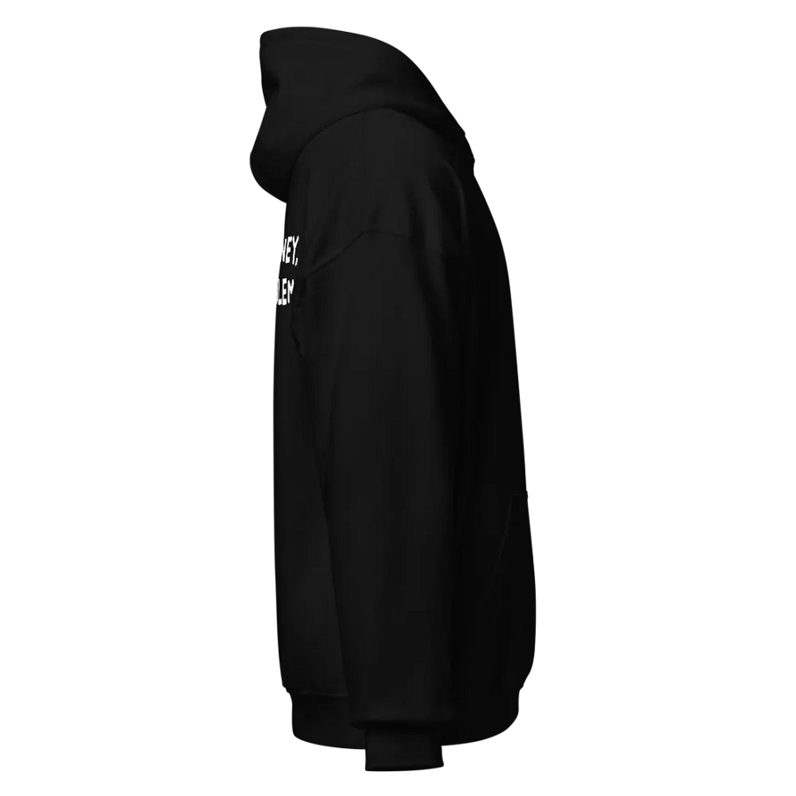 More Money, Less Problems Hoodie product image (4)
