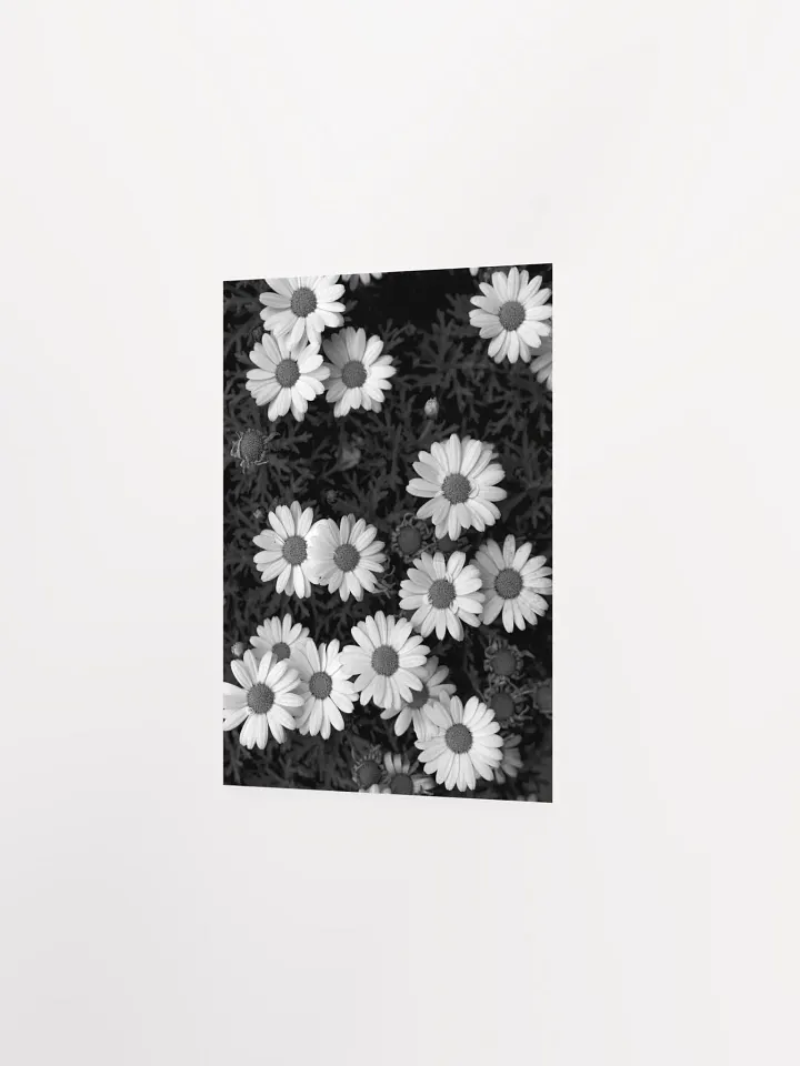Margaritas - Enhanced Matte Paper Poster product image (2)