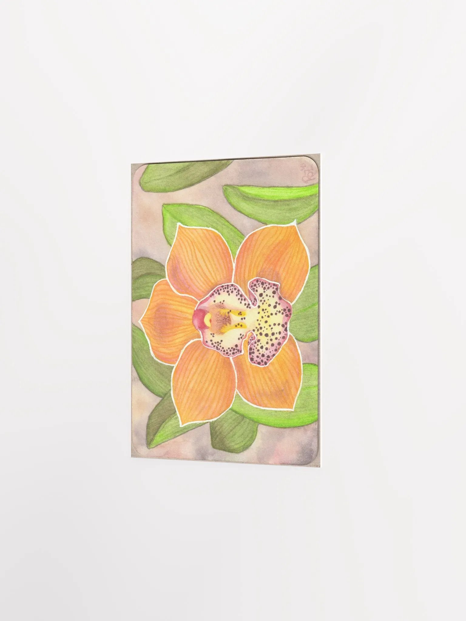 Orchid, Barrita Eminence product image (2)