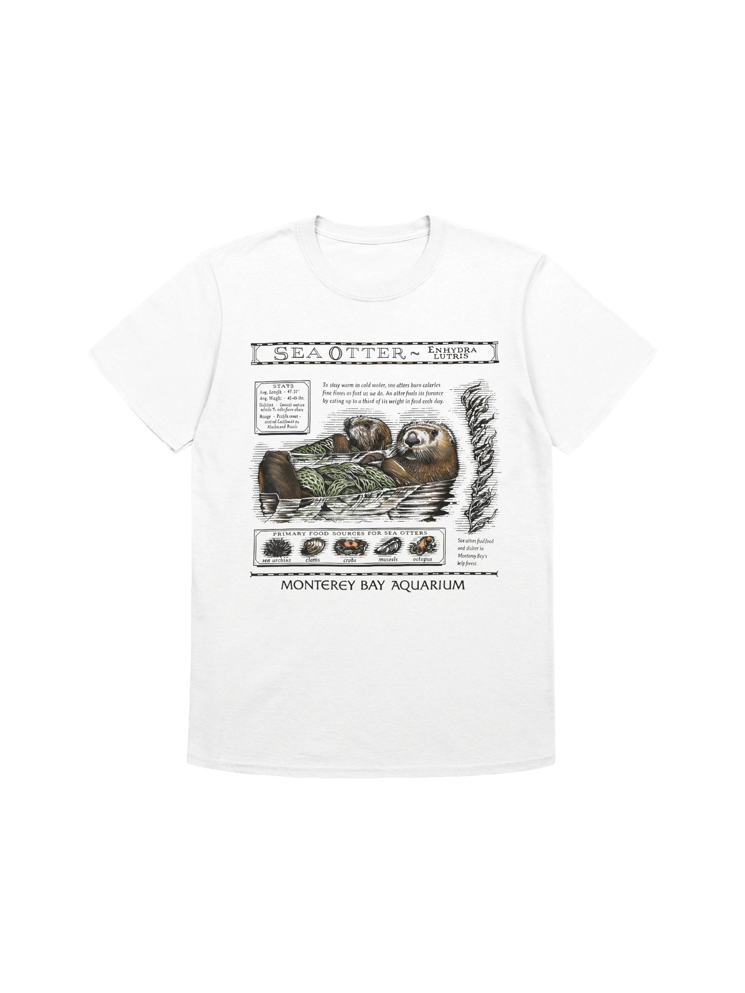 Enhydra Lutris Unisex Tee product image (1)