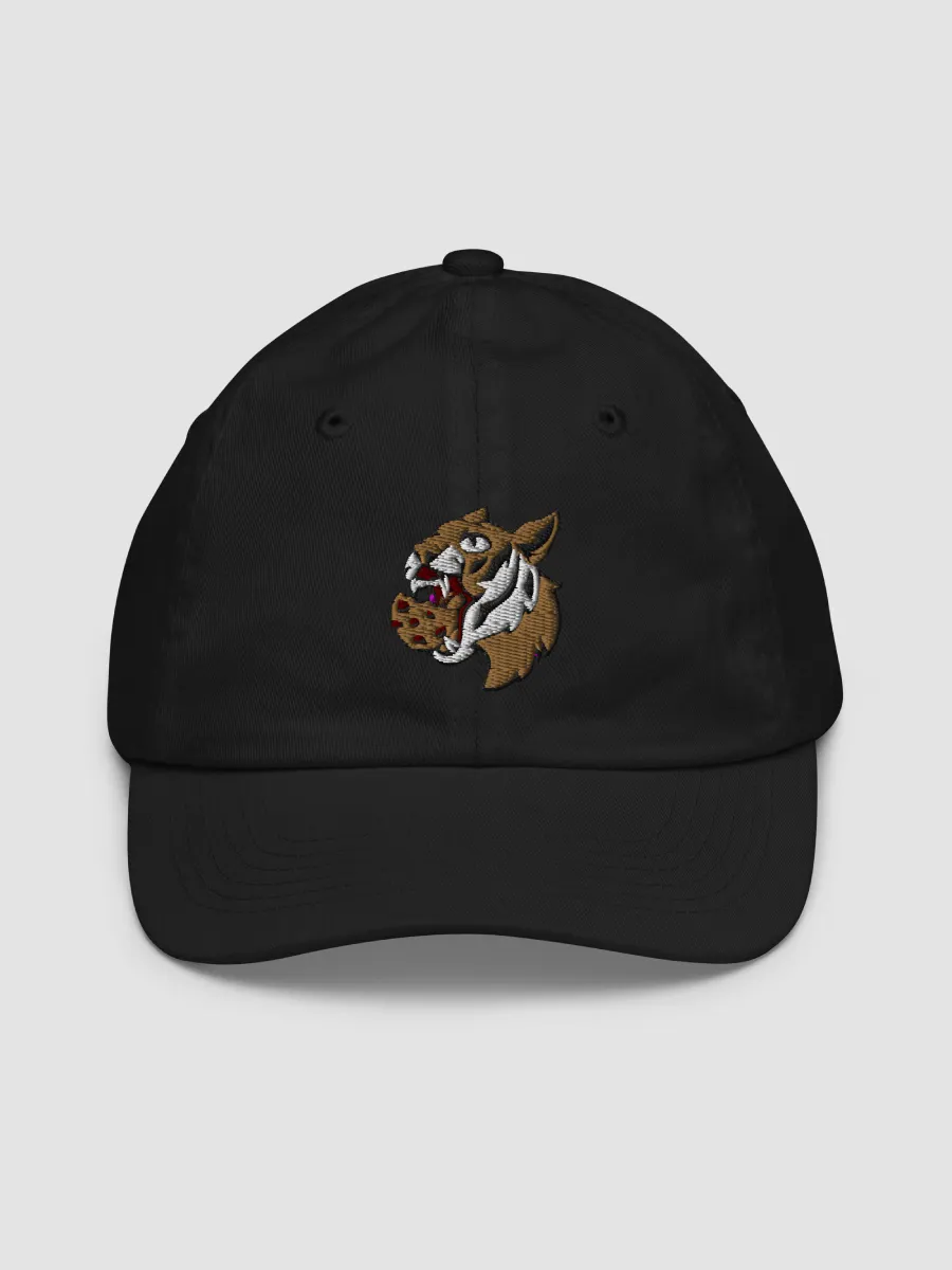 Youth baseball caps shop embroidered