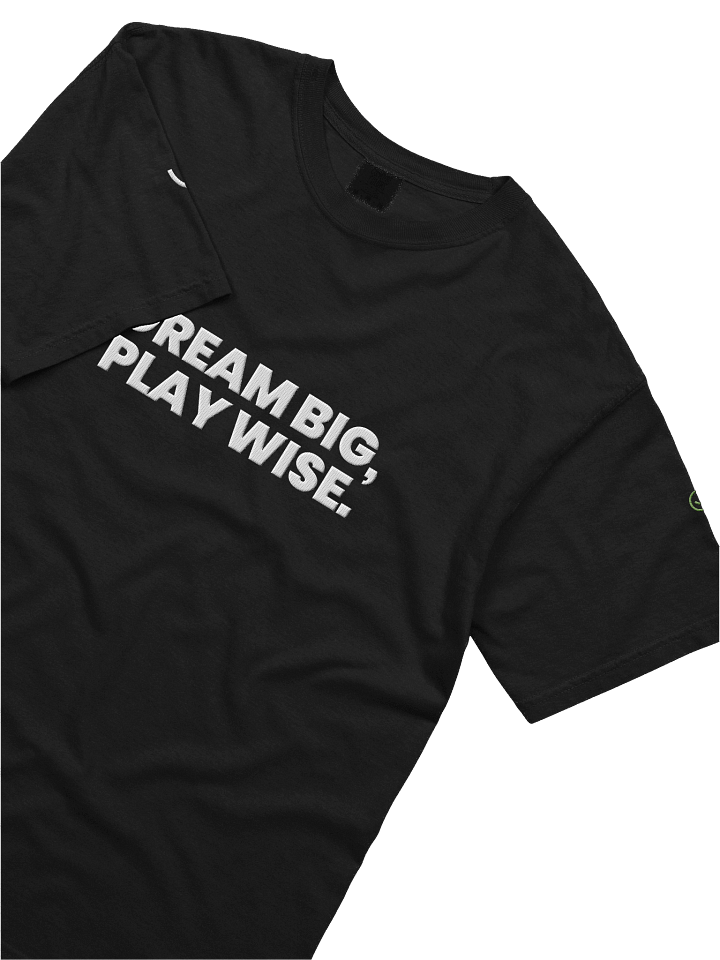DREAM BIG, PLAY WISE Comfort Colors Heavyweight T-Shirt product image (2)