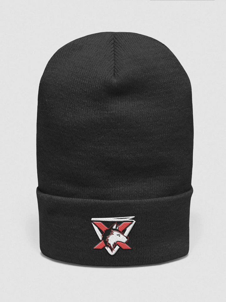 AlphaXSynergy Yupoong Cuffed Beanie Front Logo product image (1)